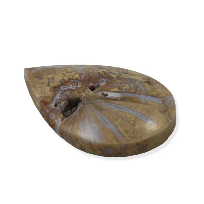 Zkamenělý korál s chalcedonem – kapka