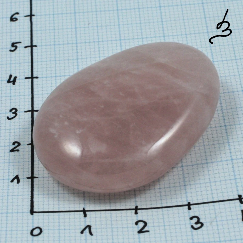 Růženín – placka č. 8
