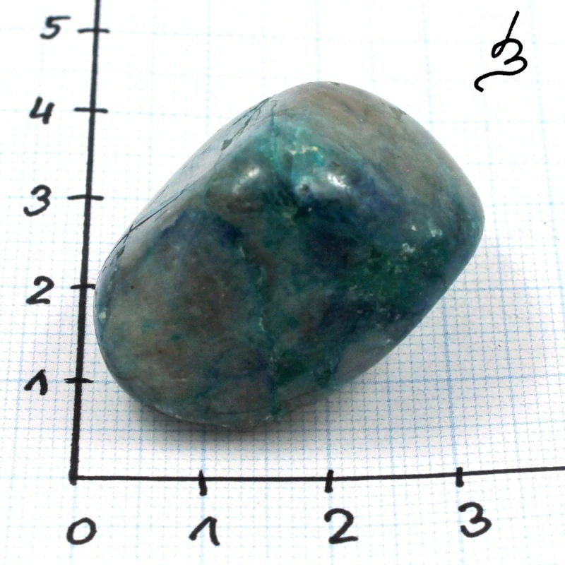 Quantum quattro č. 17
