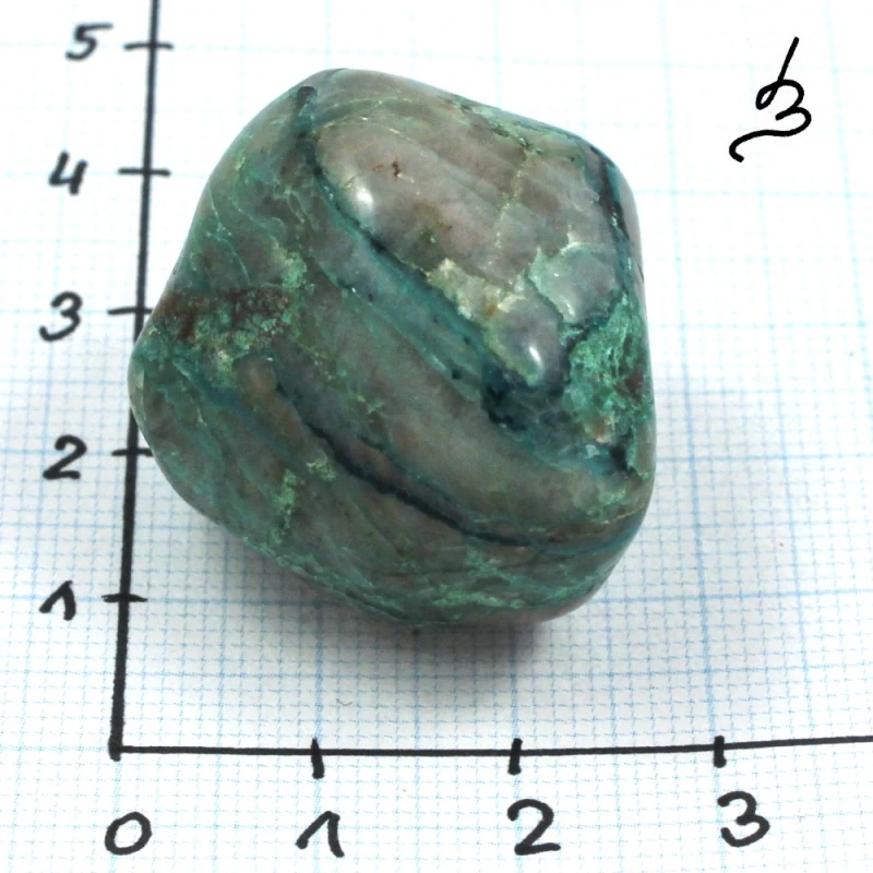 Quantum quattro č. 22