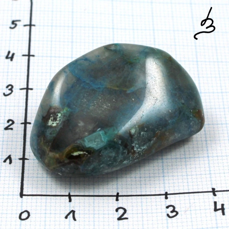 Quantum quattro č. 23