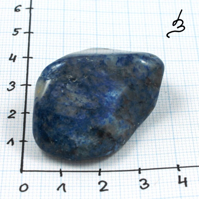 Quantum quattro č. 51
