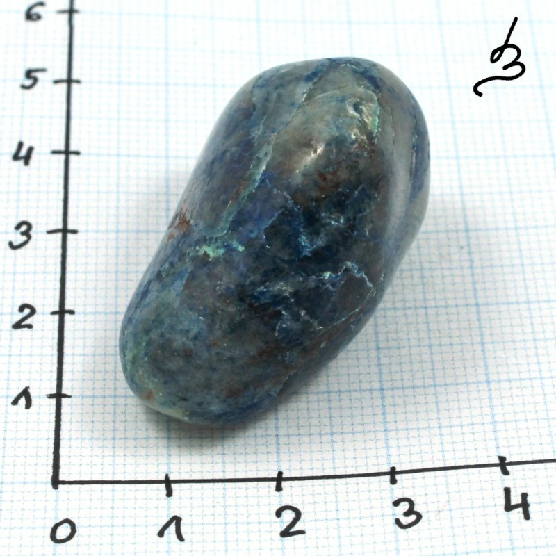 Quantum quattro č. 65