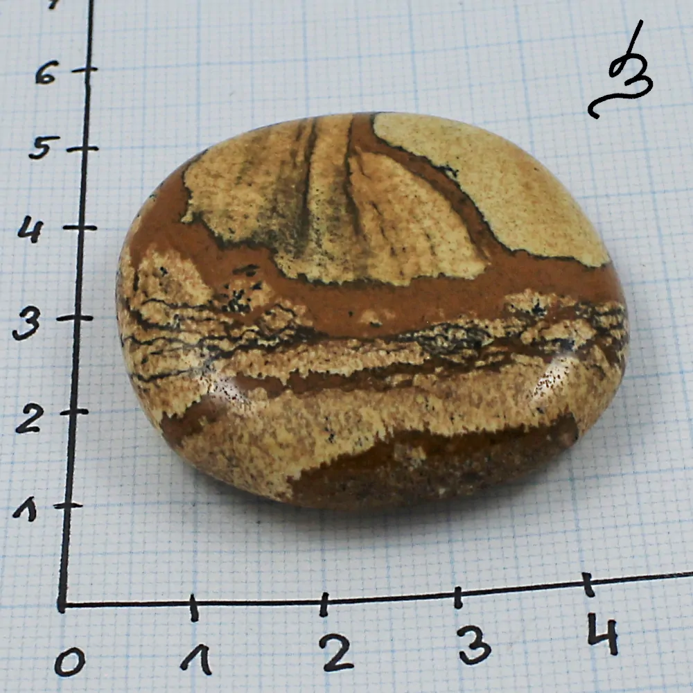 Jaspis obrázkový – placka č. 3