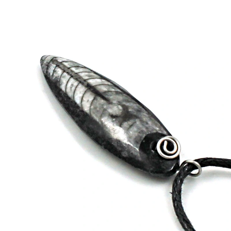 Orthoceras – přívěsek