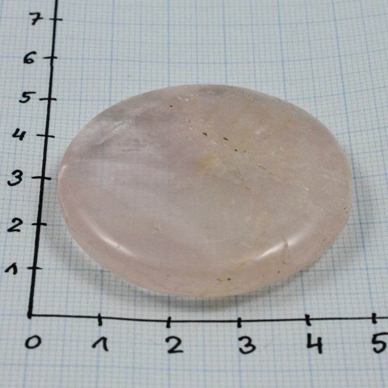 Růženín – placka č. 17