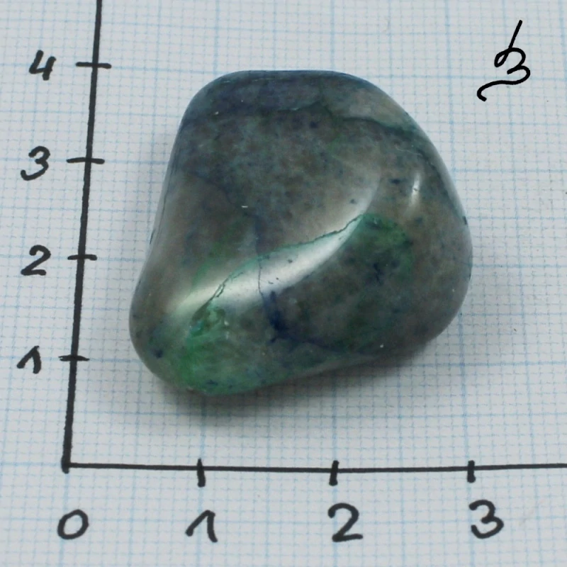 Quantum quattro č. 4
