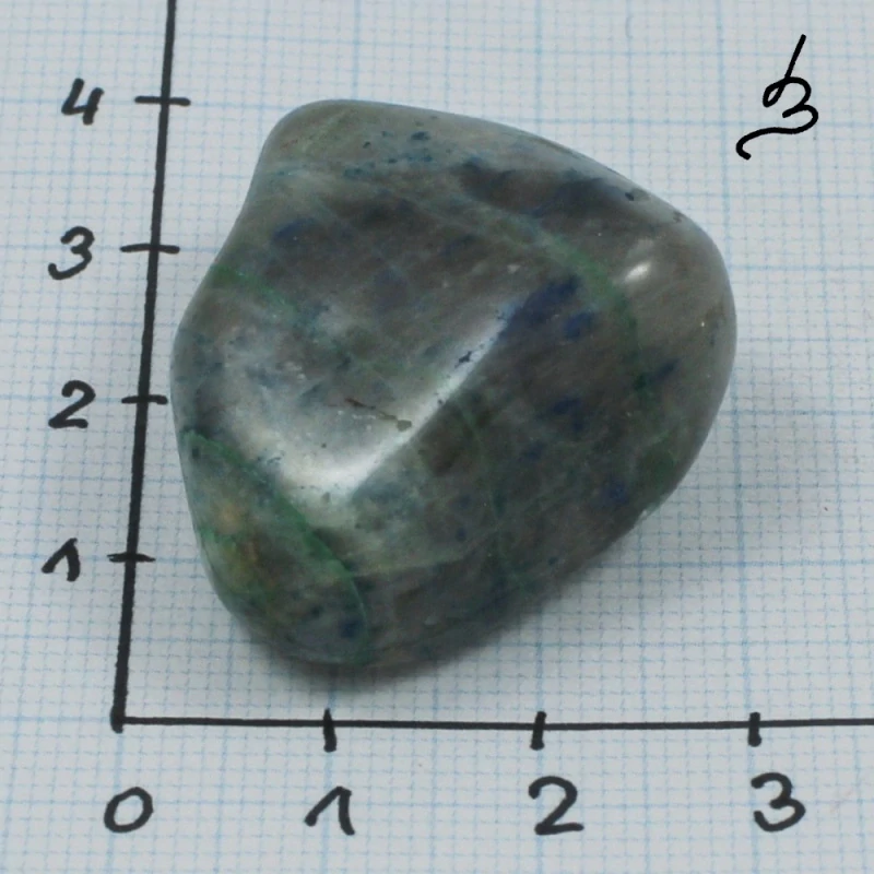 Quantum quattro č. 5