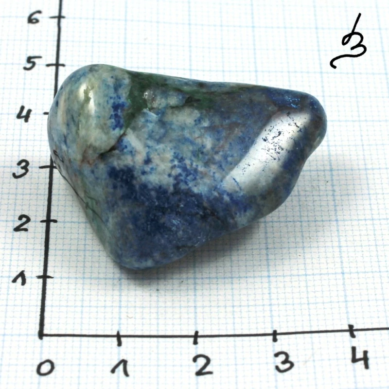 Quantum quattro č. 26