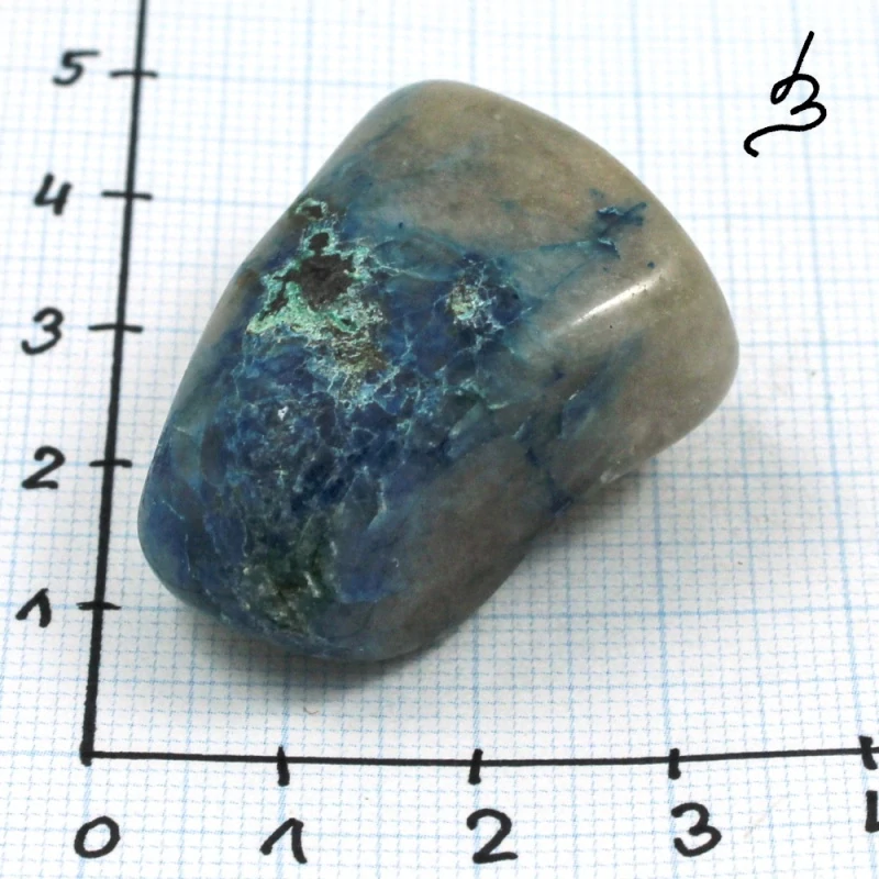 Quantum quattro č. 28