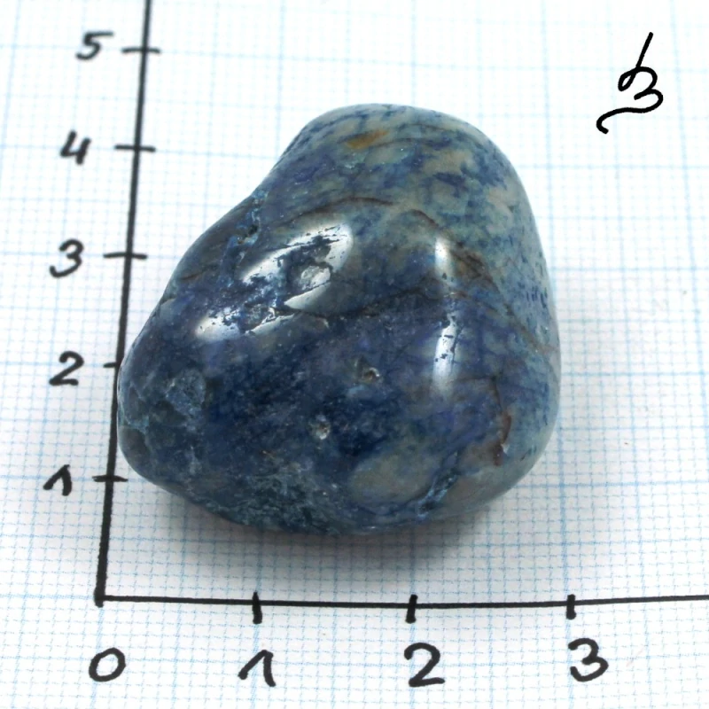 Quantum quattro č. 36