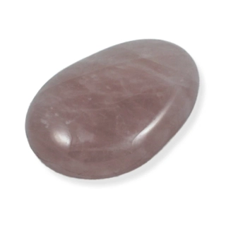 Růženín – placka č. 8