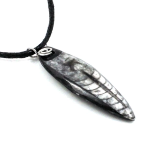 Orthoceras – přívěsek