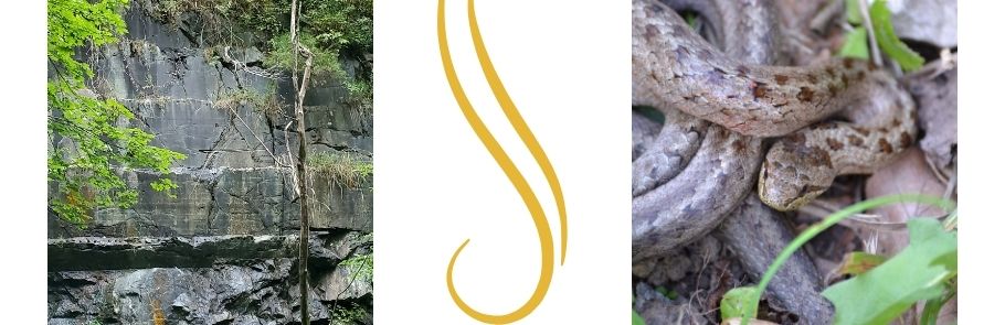 serpentinit hadí kámen